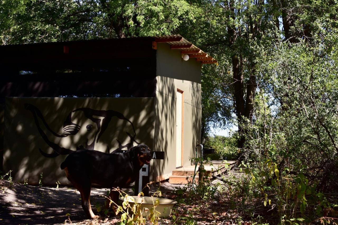 Phazama Farm Villa Maun Exterior photo